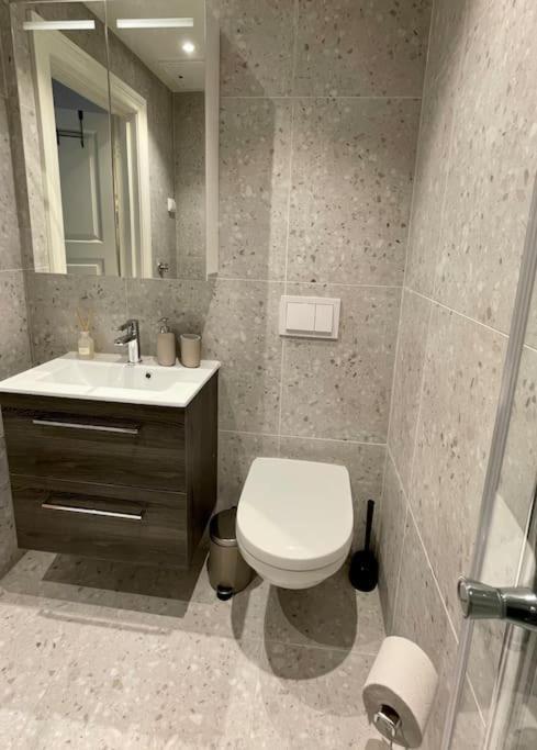 Modern And Cozy Studio Apartment In Central Oslo Kültér fotó