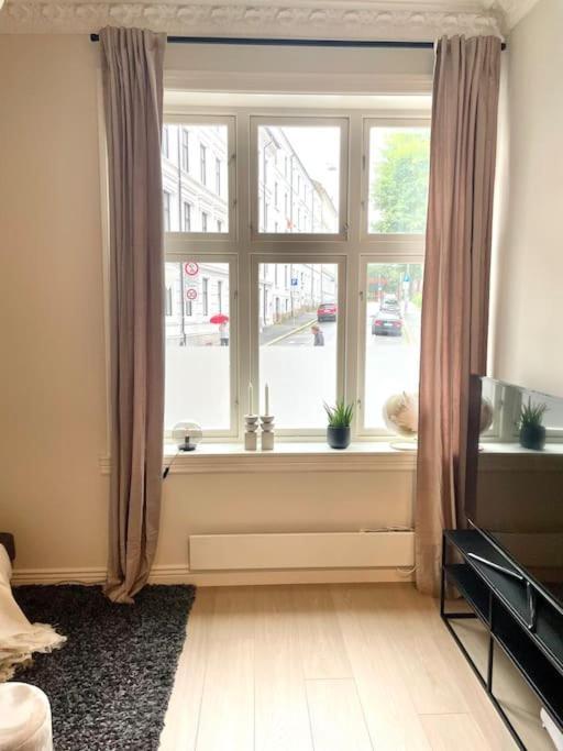 Modern And Cozy Studio Apartment In Central Oslo Kültér fotó