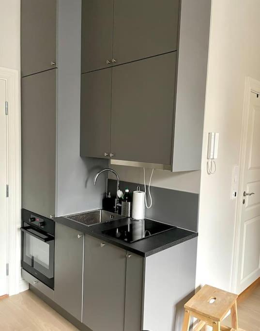 Modern And Cozy Studio Apartment In Central Oslo Kültér fotó